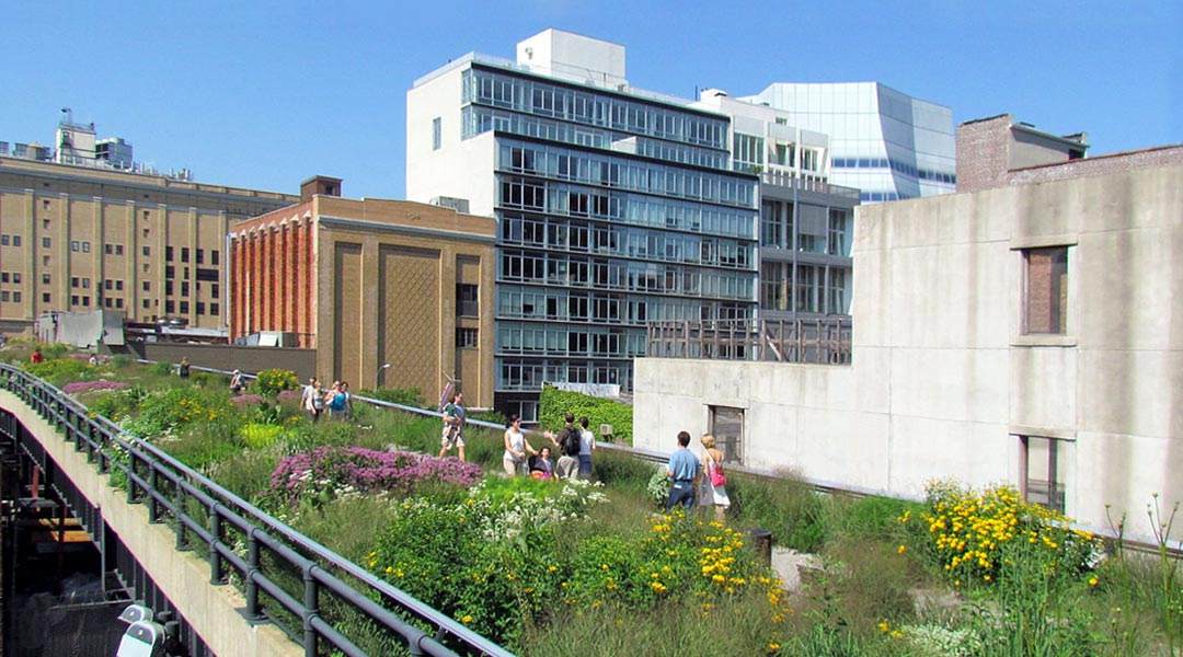 ecological urbanism example: The High Line Park in New York City, July 2011 | Photo by David Berkowitz via Flickr / CC BY 2.0